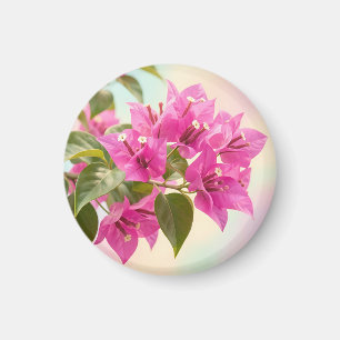 Vibrant Pink Bougainvillea Tropical Floral Magnet