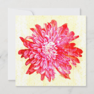 Vibrant pink chrysanthemum flower holiday card