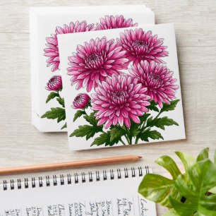 Vibrant Pink Chrysanthemums Blooming Envelope