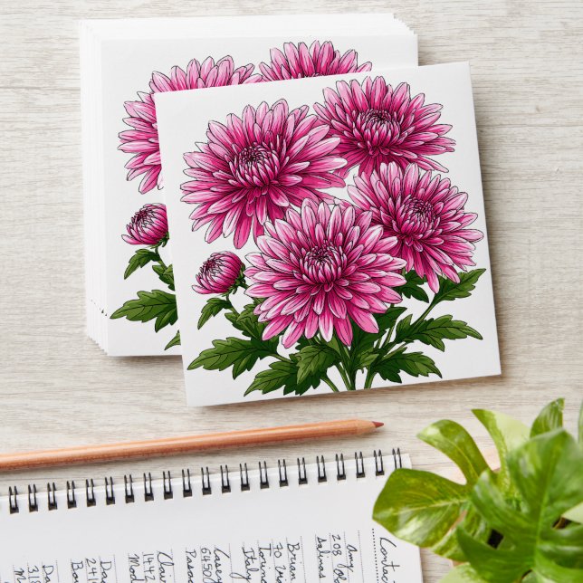 Vibrant Pink Chrysanthemums Blooming Envelope (Stacked)