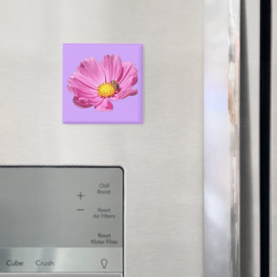 Vibrant Pink Flower With A Bee On A Summer Day Cut Magnet
