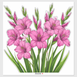 Vibrant Pink Gladiolus Bouquet With Green Foliage