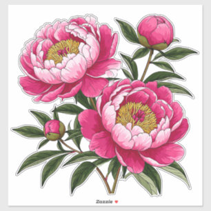 Vibrant Pink Peony Floral Artwork