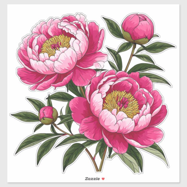 Vibrant Pink Peony Floral Artwork (Sheet)