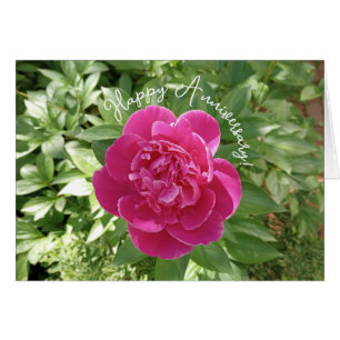 Vibrant Pink Peony Flower Anniversary Card