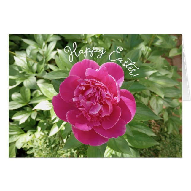 Vibrant Pink Peony Flower Easter Card (Front Horizontal)