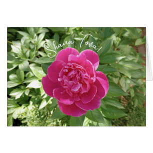 Vibrant Pink Peony Flower Rosh Hashanah Card
