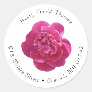 Vibrant Pink Peony Flower Round Address Labels