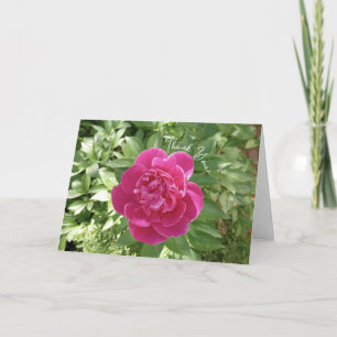 Vibrant Pink Peony Flower Thank You Card