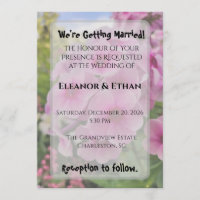 Vibrant Pink Phlox Summer Garden Wedding 