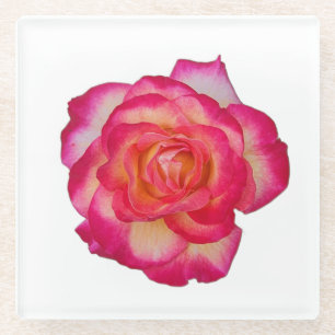 Vibrant Pink Rose Coaster