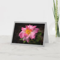 Vibrant pink rose golden centre