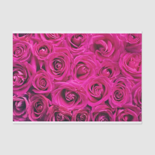 Vibrant Pink Roses Tissue Paper (Front)