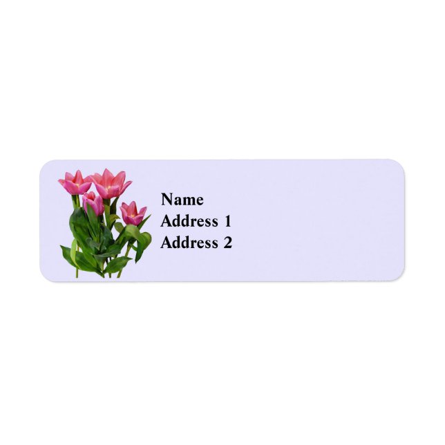 : Vibrant Pink Tulips (Front)