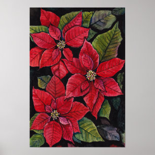Vibrant Poinsettia In Watercolor   Poster