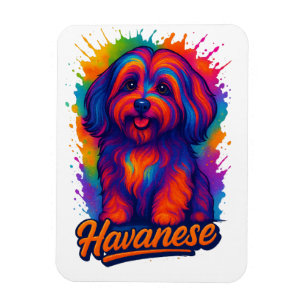 Vibrant Pop Art Havanese Dog – Colourful Street Ar Magnet