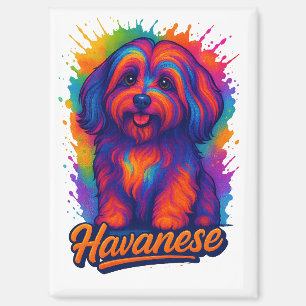Vibrant Pop Art Havanese Dog – Colourful Street Ar Magnet
