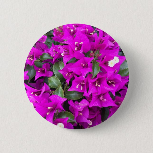 Vibrant Purple Bougainvillea flowers 6 Cm Round Badge (Front)