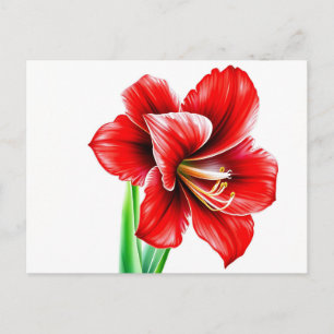 Vibrant Red Amaryllis in Watercolor Postcard
