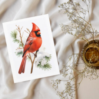 Vibrant Red Cardinal in Winter – Bird Greeting Car Postcard