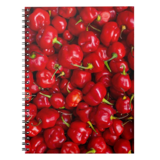 Vibrant Red Chili Pepper Harvest Notebook (Front)
