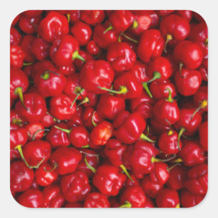 Vibrant Red Chili Pepper Harvest Square Sticker