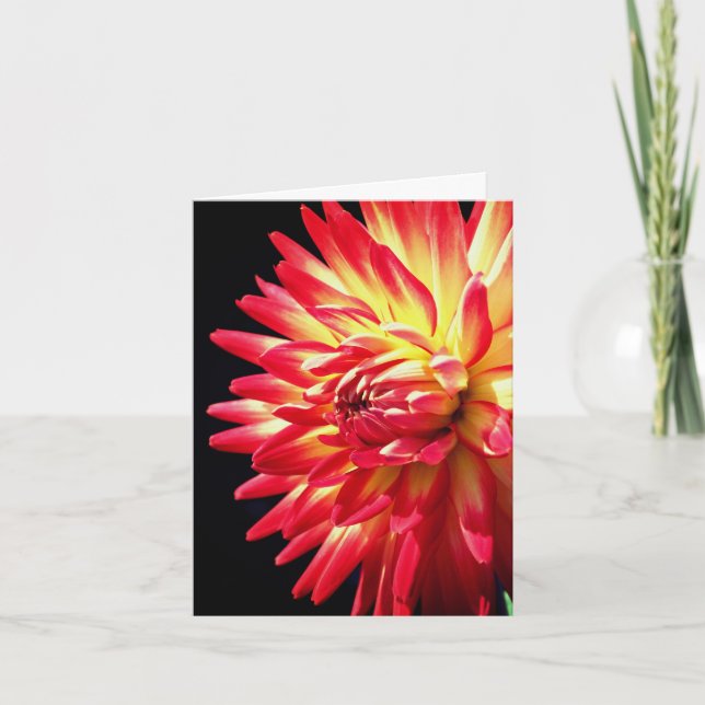Vibrant Red Dahlia Flower Photography  Note Card (Front)