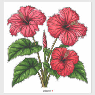 Vibrant Red Hibiscus Flowers With Lush Green Leave
