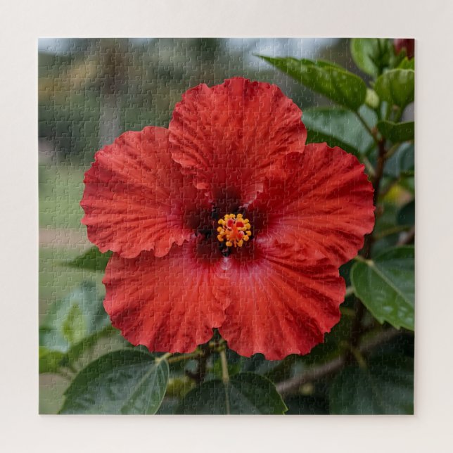 Vibrant Red Hibiscus Tropical Bloom Jigsaw Puzzle (Vertical)
