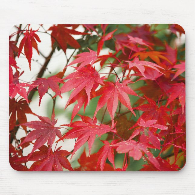 Vibrant Red Japanese Maple Leaves Close-Up Mouse Pad (Front)