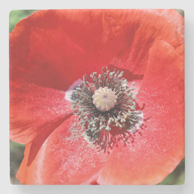 Vibrant Red Macro Botanical Poppy Floral Stone Coaster (Front)