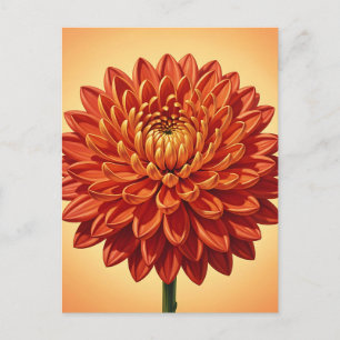 Vibrant Red Orange Chrysanthemum Flower Botanical Postcard