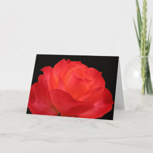 Vibrant Red-orange Rose Mothers Day Card
