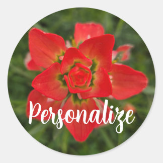 Vibrant Red Paintbrush Wildflower Classic Round Sticker