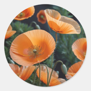  Vibrant Red Poppy Flower Classic Round Sticker