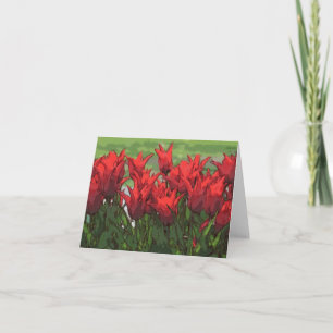 Vibrant Red Tulips From Watercolour Card