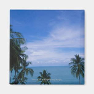 Vibrant shoreline magnet