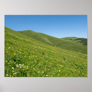 Vibrant Spring Wildflowers Blanketing Lush Green R Poster