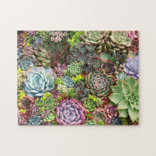 Vibrant Succulent Garden Jigsaw Puzzle