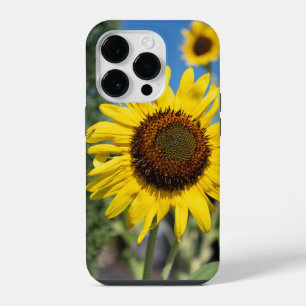 Vibrant Sunflowers iPhone 14 Pro Case