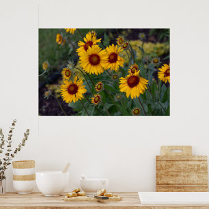 Vibrant Sunshine: Orange Sunflowers Photography Poster