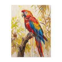Vibrant Tropical Scarlet Macaw Bird