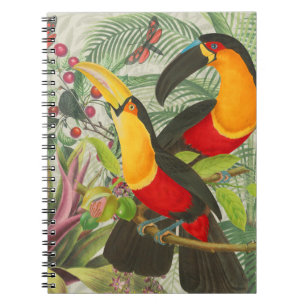 Vibrant Tropical Toucan Birds Art Exotic Jungle Notebook