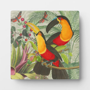 Vibrant Tropical Toucan Birds Art Exotic Jungle Plaque