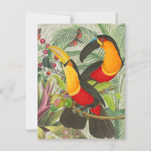 Vibrant Tropical Toucan Birds Art Exotic Jungle Postcard
