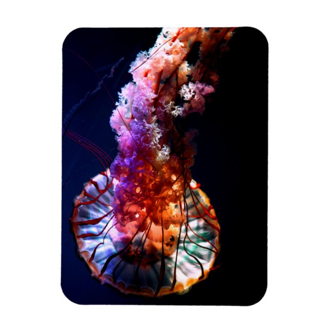 Vibrant Tropical Undersea Jellyfish Magnet (Vertical)