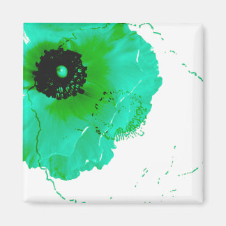 vibrant turquoise and white ranunculus magnet