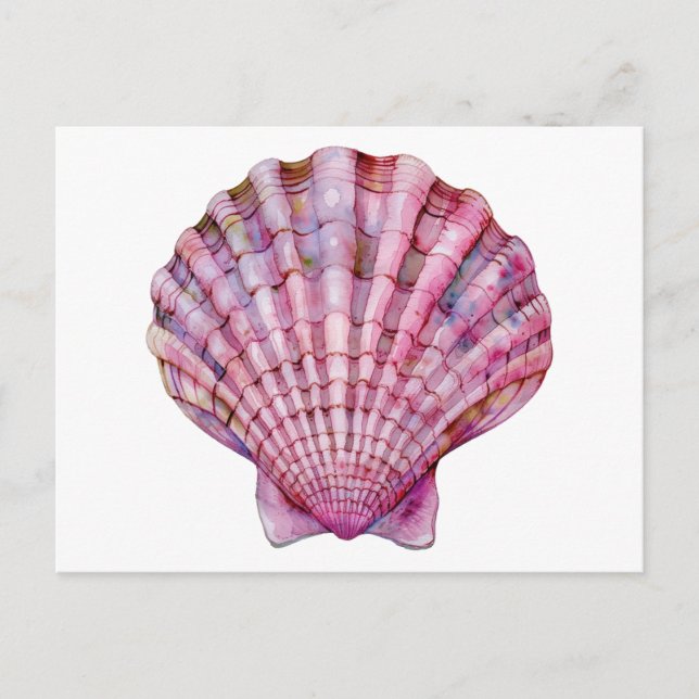 Vibrant watercolor pink seashell illustration postcard (Front)