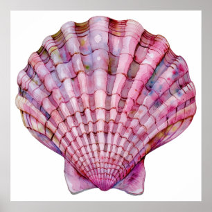 Vibrant watercolor pink seashell illustration poster