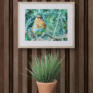Vibrant Watercolour Robin Perched on Thorns  Photo Print